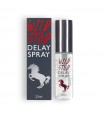 SPRAY RETARDANTE WILD STUD 22ML